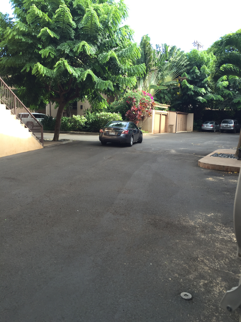 Illustration for article titled Automotive observations from Maui.